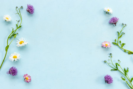 Wild meadow flowers chamomile cornflower and ranunculus. Summer floral patternの写真素材