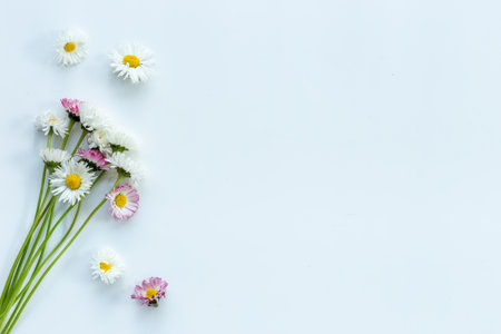 Summer floral pattern with wild meadow blooming flowers and herbsの写真素材