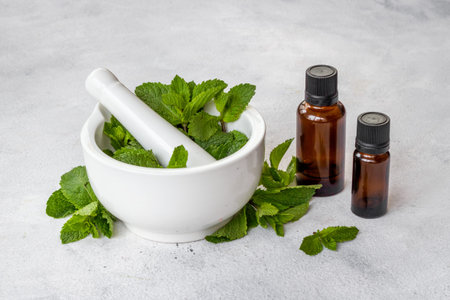 Mint leaves with aroma essential peppermint oil