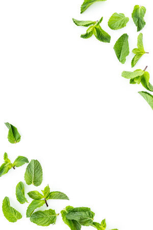 Frame of green mint leaves, top view. Aroma herbs background