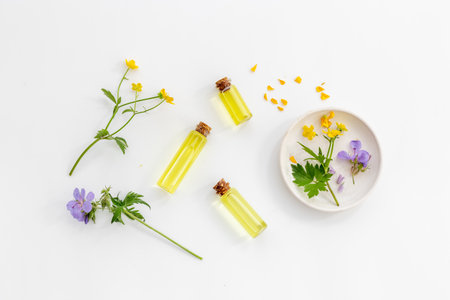 Healing herbal medicine products with wild herbs and flowersの写真素材