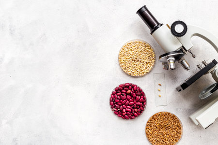 Chemical laboratory of food supply. Grain and seeds research with microscope