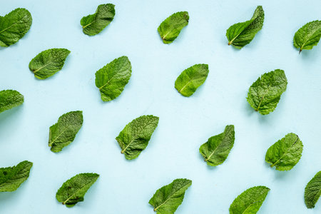 Herbs pattern with green mint leaves, top viewの写真素材