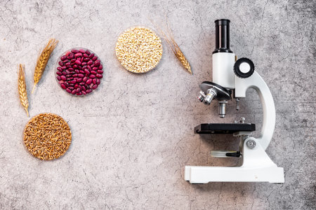 Food quality research with microscope in microbiological laboratory