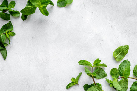 Fresh green mint leaves top view. Aroma herbs background