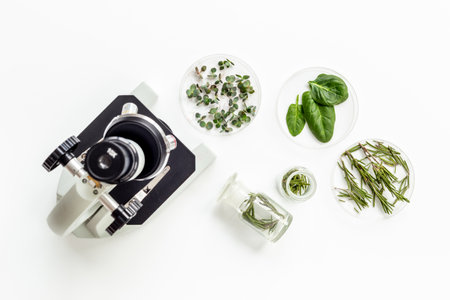 Chemical laboratory of plants supply. Plants research with microscope
