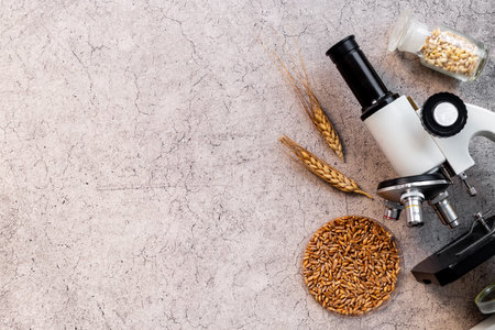 Food quality research with microscope in microbialogical labaratoryの写真素材