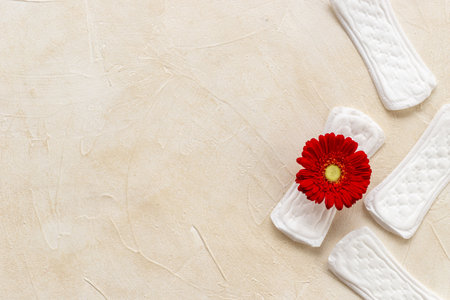 White panty liners with red flower. Menstruation period and daily hygieneの写真素材