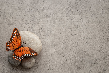 Marble stones with butterfly - calmness and harmony background. Meditation concept.の写真素材