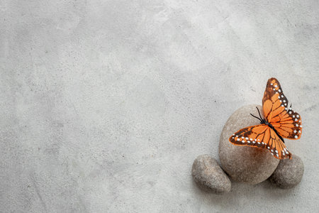 Calmness and harmony background with marble stones and butterfly. Meditation and relaxation concept.の写真素材