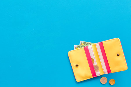 Wallet with cash Euro and coins. Counting money, economy.の写真素材