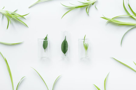 Herbal cosmetic or medicine - test tubes with green leaves in laboratory.の写真素材