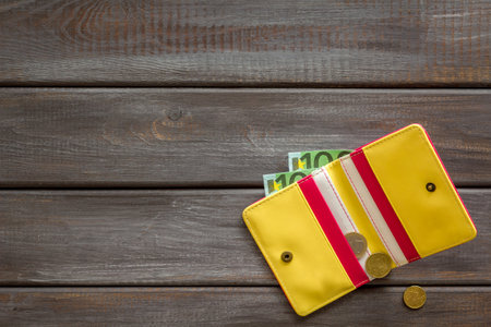 Yellow wallet with Euro banknotes. Counting money, economy concept.の写真素材