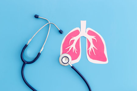Human organ lungs model and stethoscope, top view. Human health and medical concept.