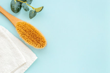 Spa massage body brush and green leaf. Bath background.の写真素材