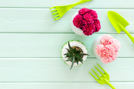 Gardening tools for transplanting plants in pots, top view.の写真素材