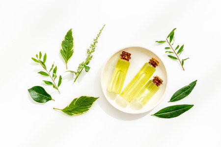 Herbal cosmetics with essential oils of medicinal fresh herbs, top view.の写真素材
