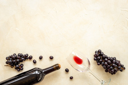 Gardening at home. Passion fruit seedlings in peat pots, top view.の写真素材