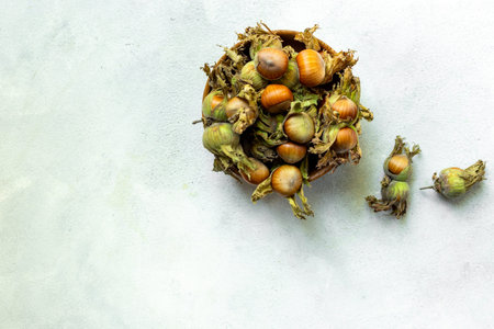 Hazelnut harvest time. Fresh hazelnuts with leafy shells, top view.