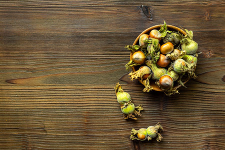 Fresh filbert nuts or hazelnuts with leafy shells, top view.