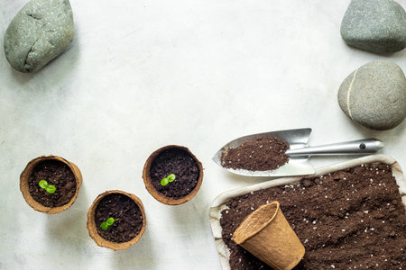 Seedlings in peat pots with gardening tools and soil for plants on a trayの写真素材