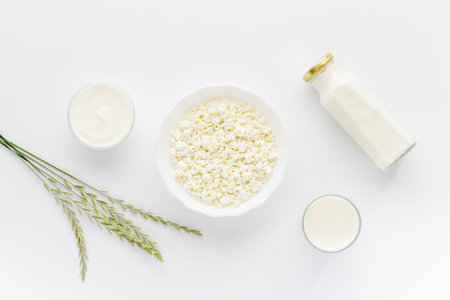 Various dairy products, top view. Milk and cottage cheese with sour cream.の写真素材