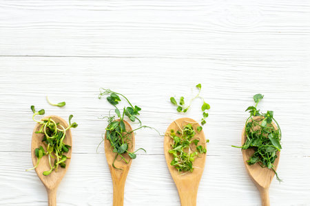Fresh sprouting microgreens, top view. Sprouted peas seeds micro greens. Vegan food.の写真素材