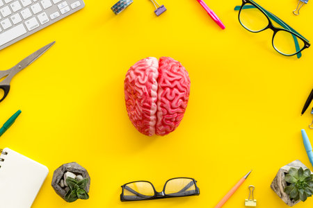 Human brain model on an office table with stationery and a keyboard, top view. Creative brain and...