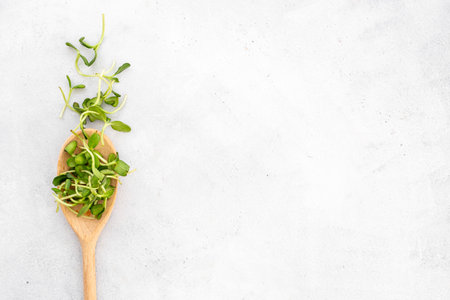 Baby plant sprouts microgreen in wooden spoon, top view.の写真素材