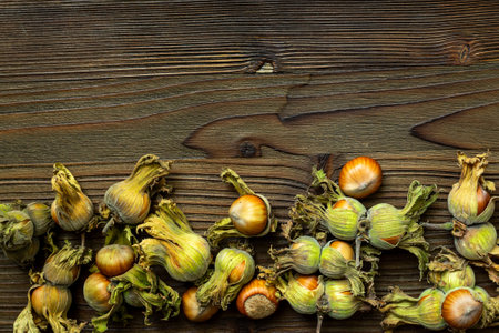 Fresh hazelnuts with leafy shells, top view. Hazelnut harvest season.の写真素材