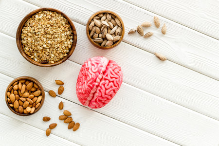 Healthy food for the brain. Human brain model with nuts and grain, top view.