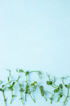 Closeup of fresh sprouting microgreens on white background, top view. Vegan and healthy eating.の写真素材