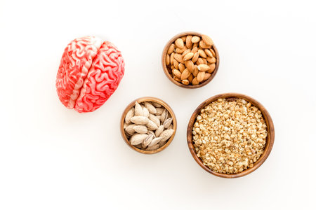 Human brain model with nuts and grain, top view. Healthy food for the brain.の写真素材