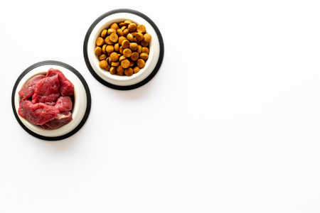 Various pet food in feeding bowls. Natural and dry food for choice. Top view.の写真素材