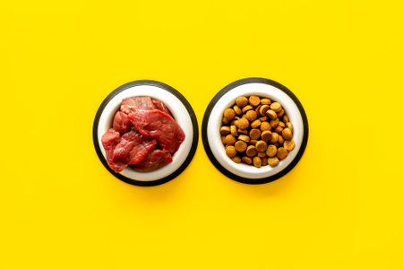 Various pet food in feeding bowls. Natural and dry food for choice. Top view.の写真素材