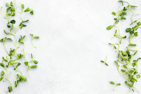 Frame of microgreens pea, top view. Vegan and healthy eating