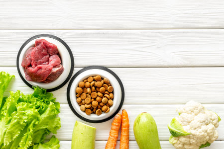 Bowls with healthy pet food and ingredients, top view.の写真素材