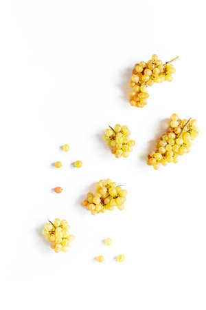 Many fresh green grape clusters isolated on white backgroundの写真素材