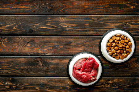 Natural and dry food for dogs and cats. Healthy pet food.の写真素材