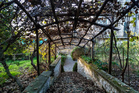 Old abandoned house terrace in Sorrento, Italy. Winter time.の写真素材