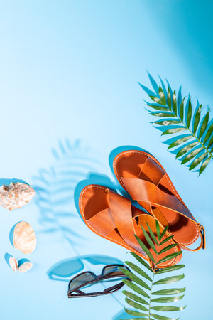 Vacation beach accessories with sunlight shadows. Sandals and tropical leaves, top view.の写真素材