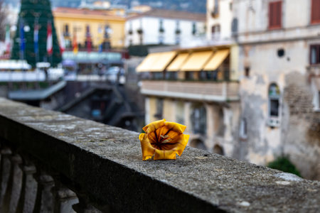 Panoramic view realistic of Sorrento city, Italyの写真素材