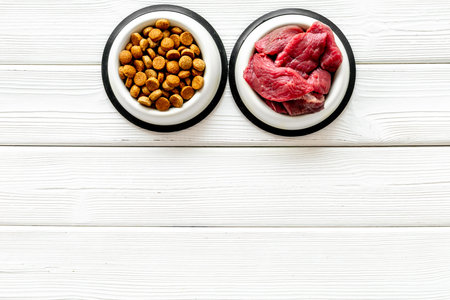 Natural and dry food for dogs and cats. Healthy pet food.の写真素材