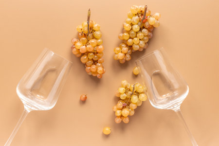 Two glasses of white wine and yellow grapes brunches on trendy color background, top view.の写真素材
