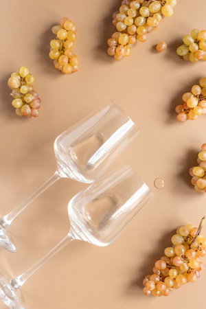 Two glasses of white wine and yellow grapes brunches on trendy color background, top view.の写真素材