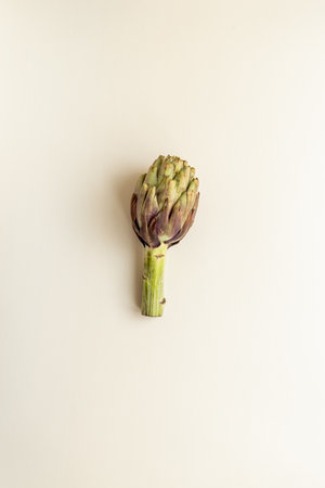 Top view of a whole heads of purple artichokes. Vegetable ready to cook.の写真素材