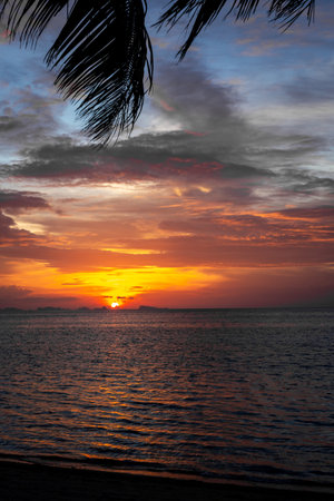 Stunning tropical landscape - sunset sea beach with palm trees. Colorful sky clouds. Seashore in Thailand, Koh Phangan Island.の写真素材