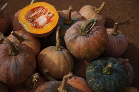 Pile of pumpkins