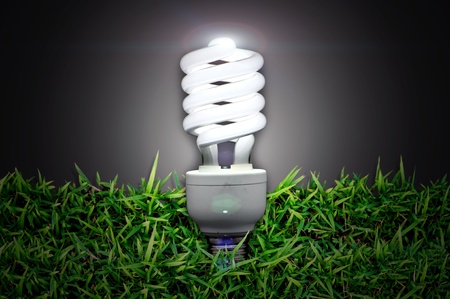 Energy saving light bulb over  green grassの写真素材