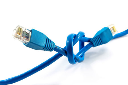 Blue Network cable 